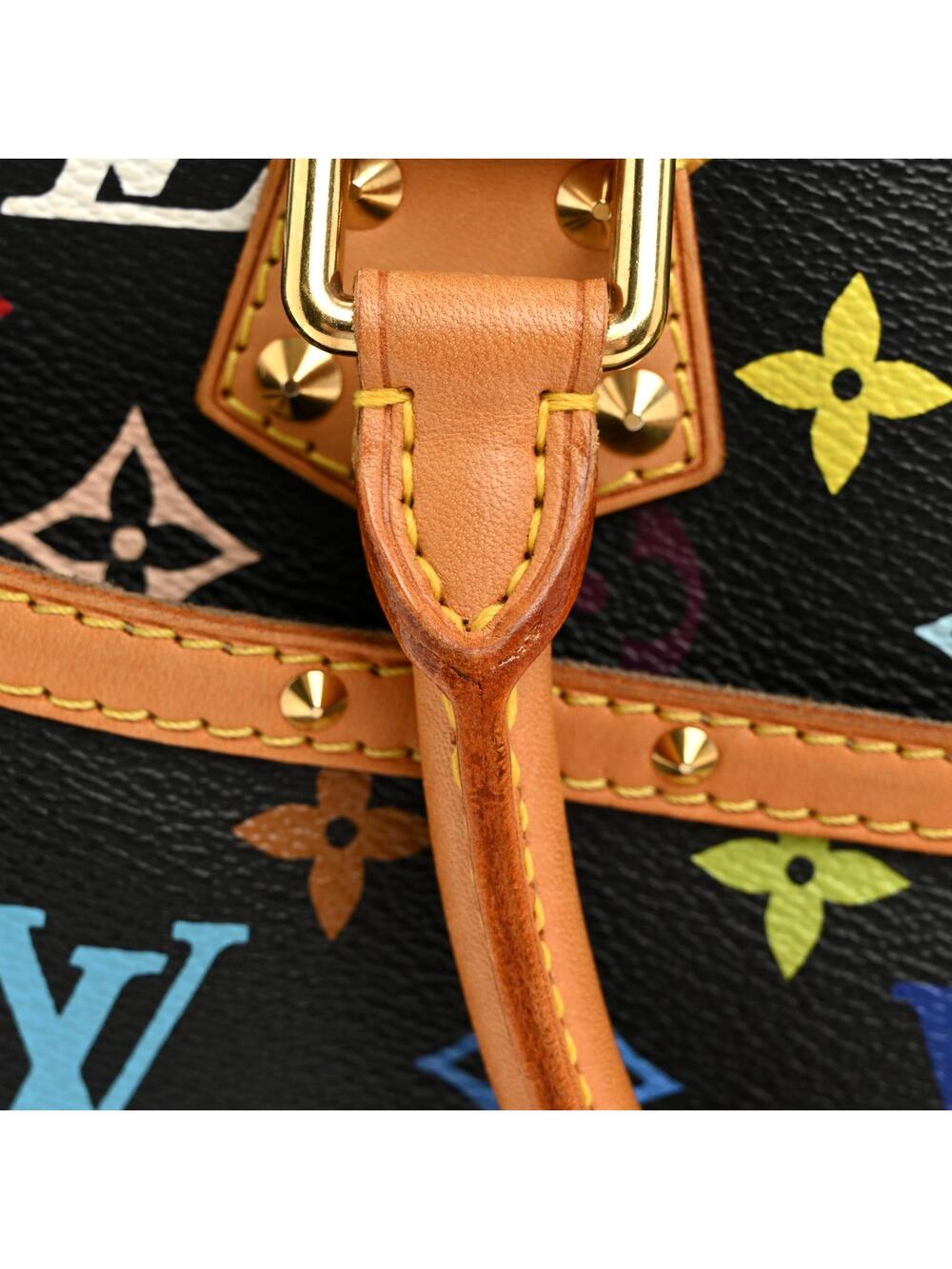 Louis Vuitton Multicolor Trouville #329141L18B